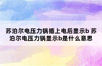 苏泊尔电压力锅插上电后显示b 苏泊尔电压力锅显示b是什么意思